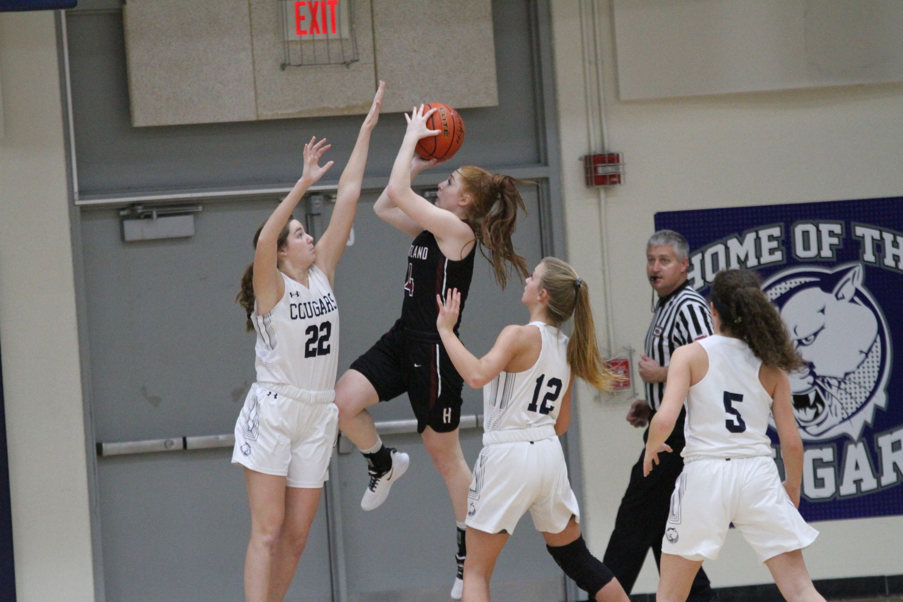 Heartland at Cross County girls basketball 4.jpeg